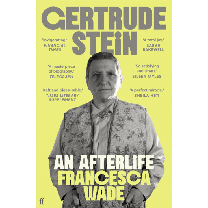 Book jacket of Gertrude Stein An Afterlife