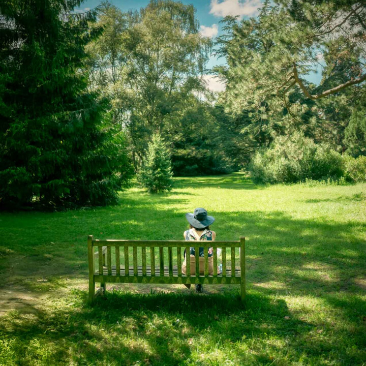A green woodland park scene with a woman sat on a bench with her back to the camera.